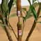 3ft. Potted Artificial Olive Tree with Natural Trunk